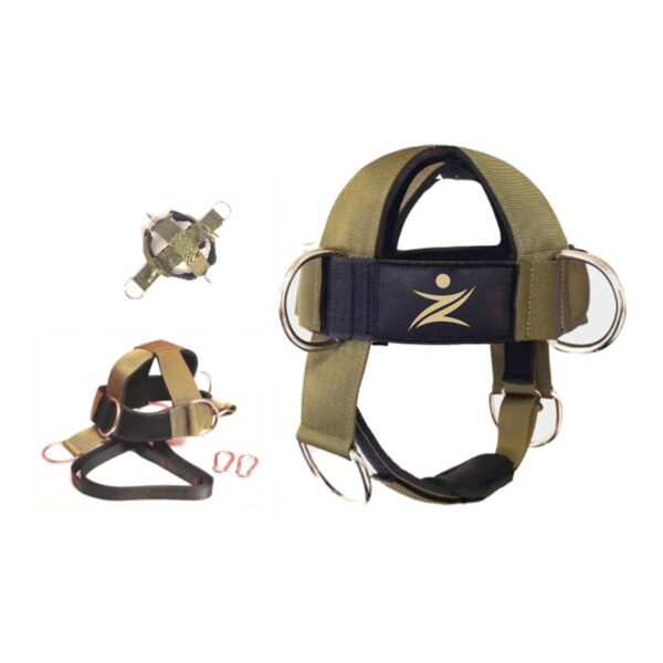 Head Harness